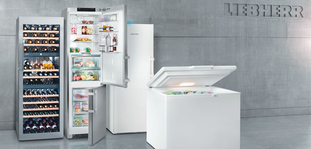 Kühlschrank reparieren Isernhagen